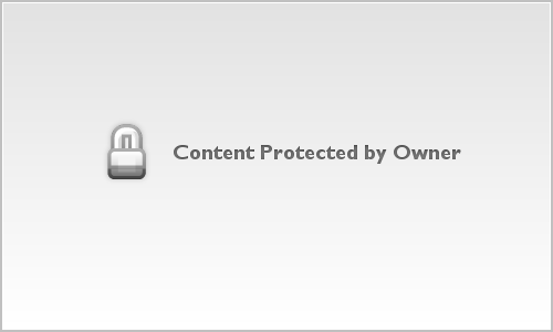 Shelly's Headshots